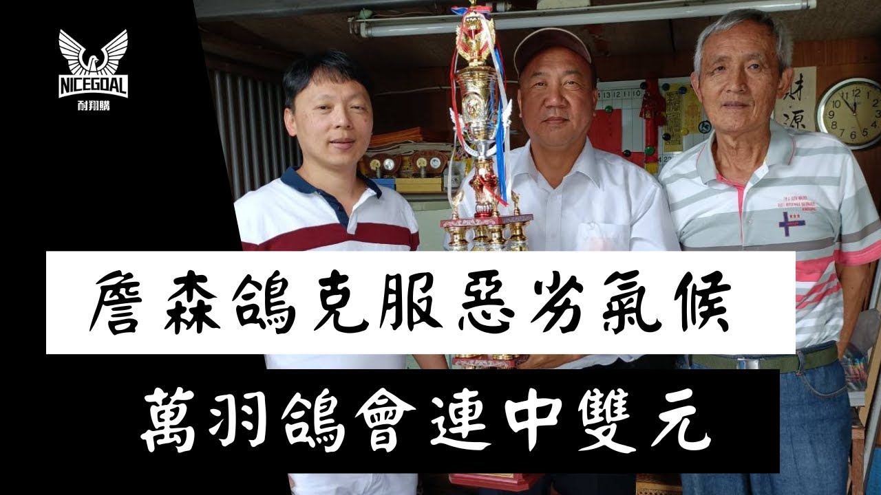 【強豪分享】詹森鴿克服惡劣氣候，萬羽鴿會連中雙元，黃茂仁、黃連欽父子同心，齊力斷金&王富隆強豪｜耐翔購