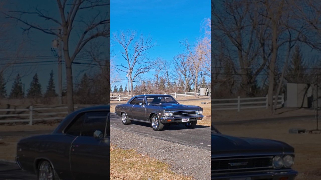 1966 Chevrolet Chevelle For Sale | Volo Museum V21782