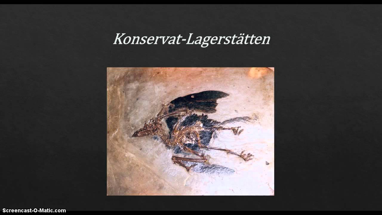 Lagerst&auml;tten