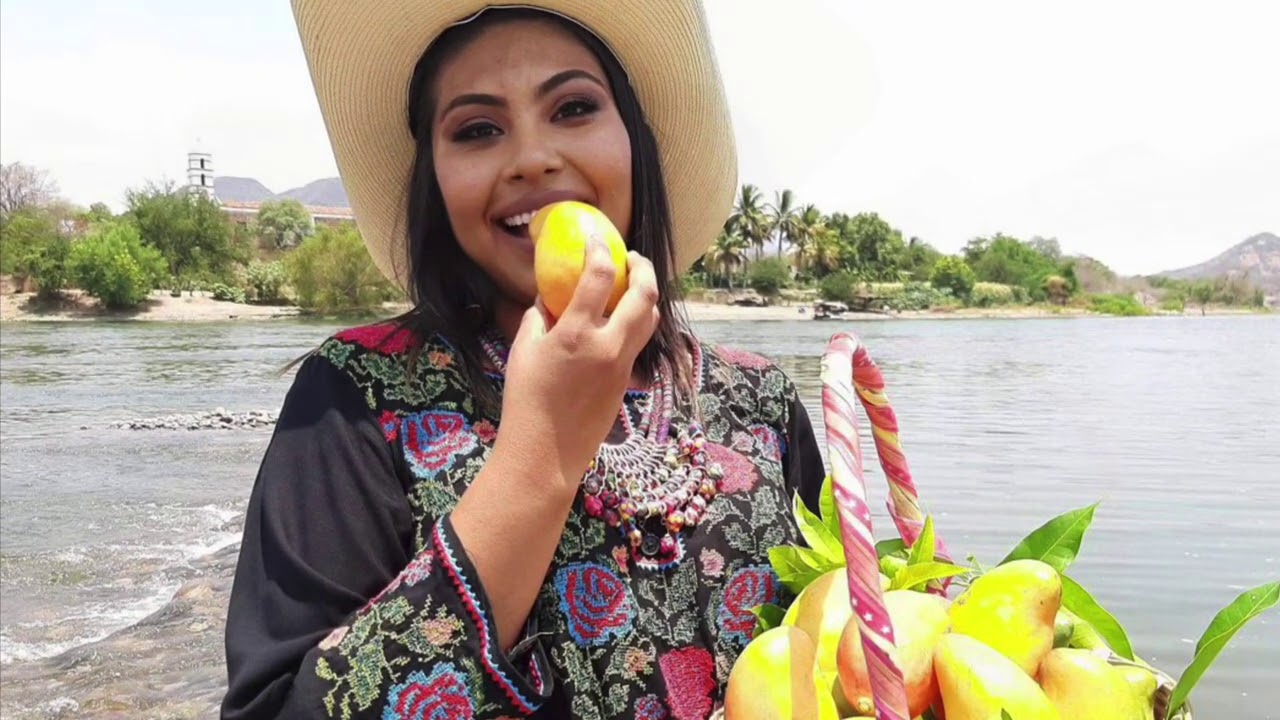 Conchita del mar. .
