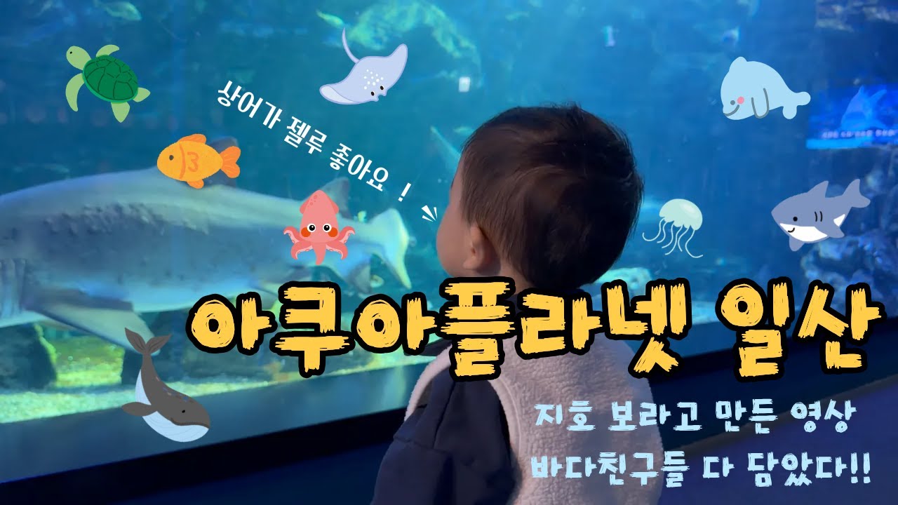 23갤 아들램이랑 둘이서 아쿠아플라넷 일산 다녀왔어요 ☺️