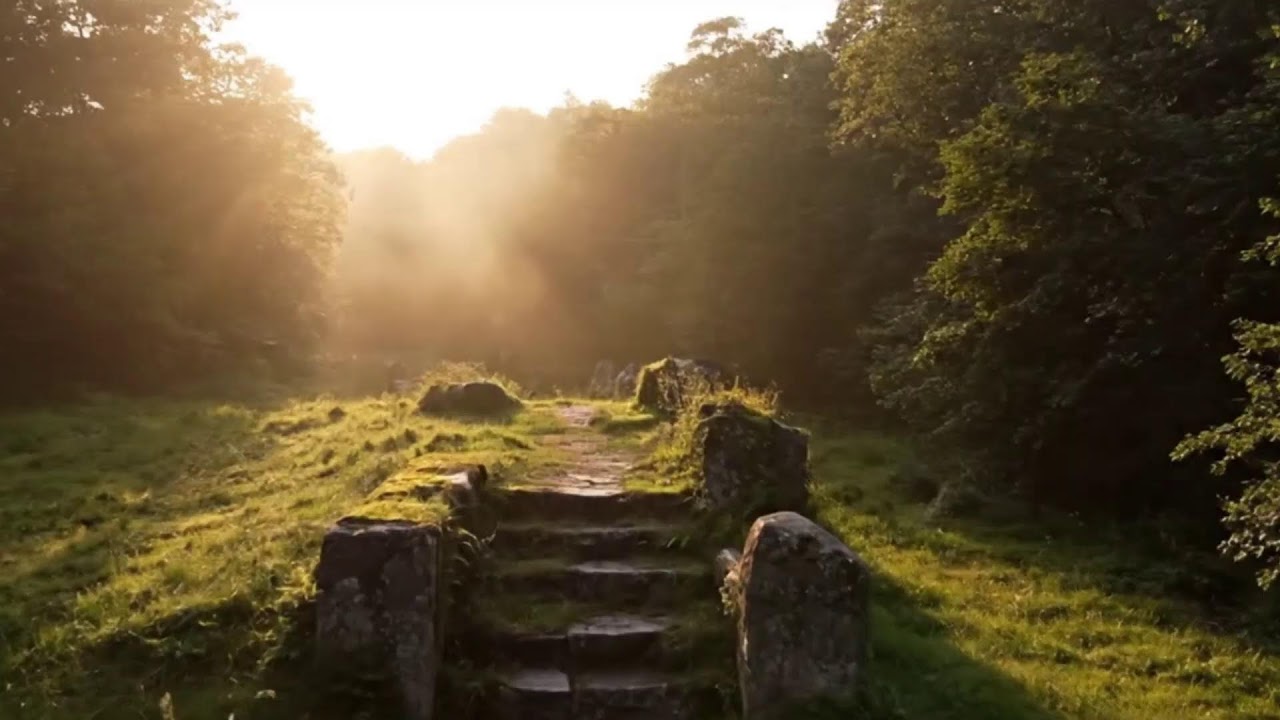 Rasta Roots Energy 🌿🔥 | Conscious Reggae Compilation for Balance, Unity, and Good Vibes