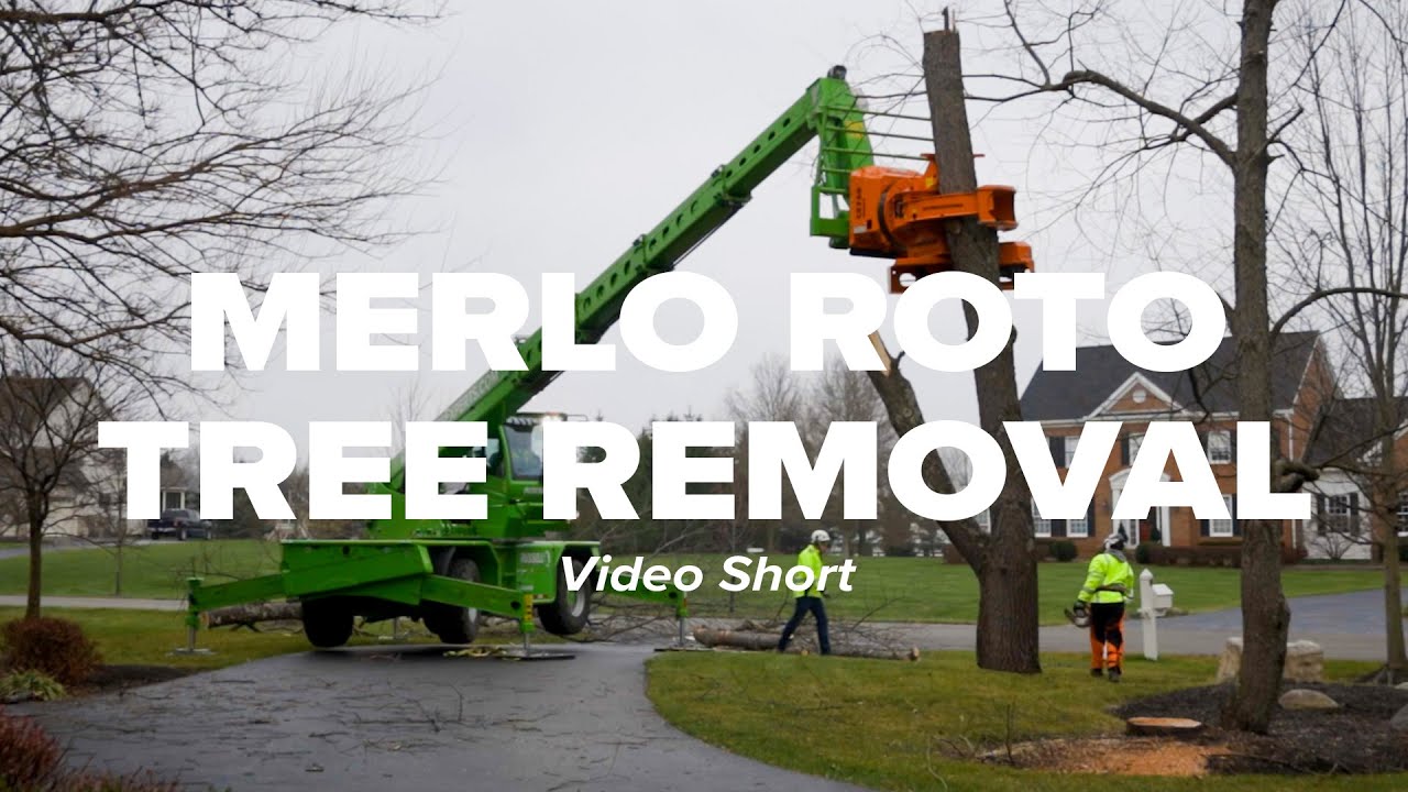 Merlo Roto Tree Removal Short
