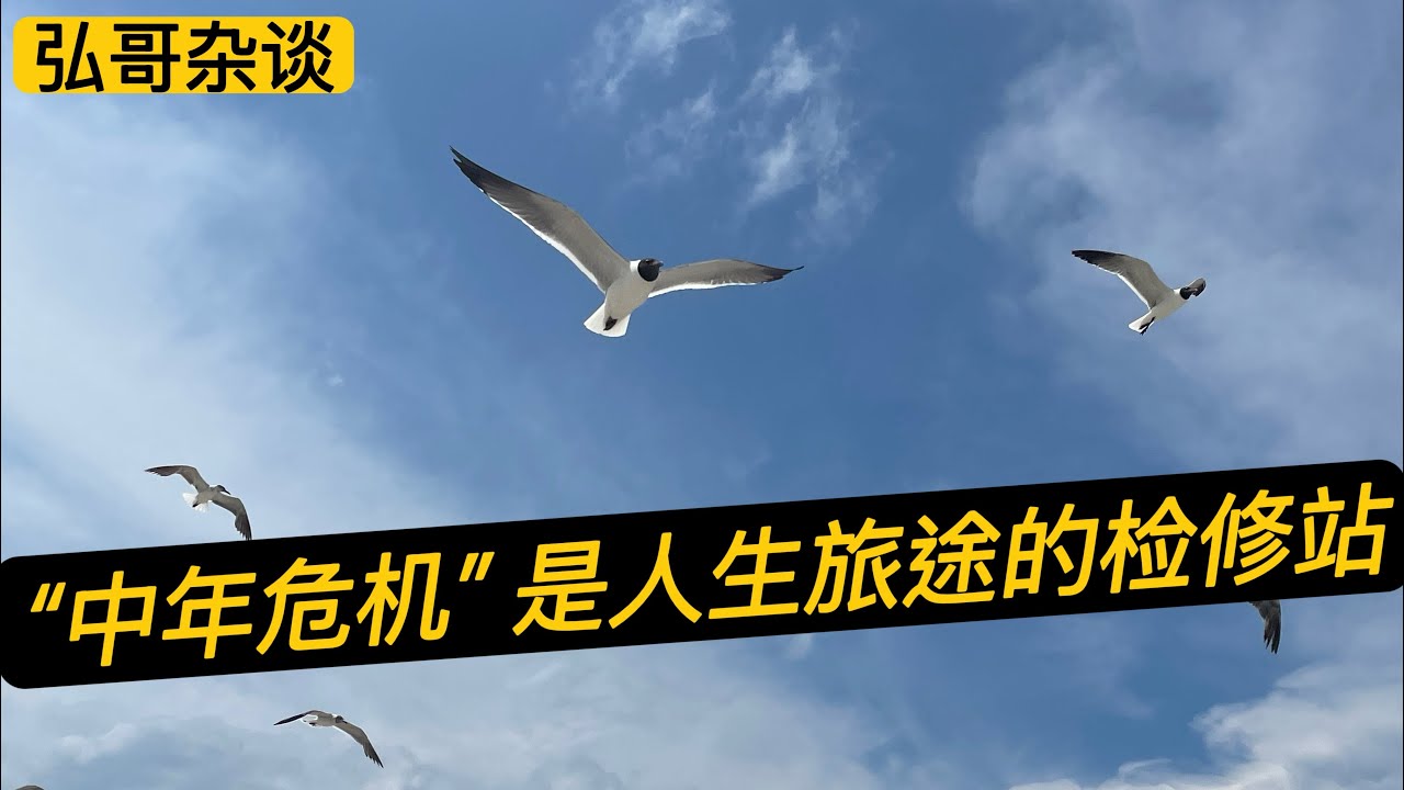 “ 我的中年危机 ” ，美国有81%的人群，曾有过相同的感受，人生旅途的加油站。