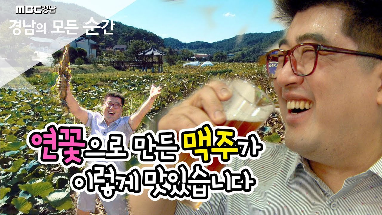 연꽃 활용 200% 꿀팁! 연꽃향이 들어간 수제맥주부터 무드등 만들기까지! [경남의모든순간] 190923