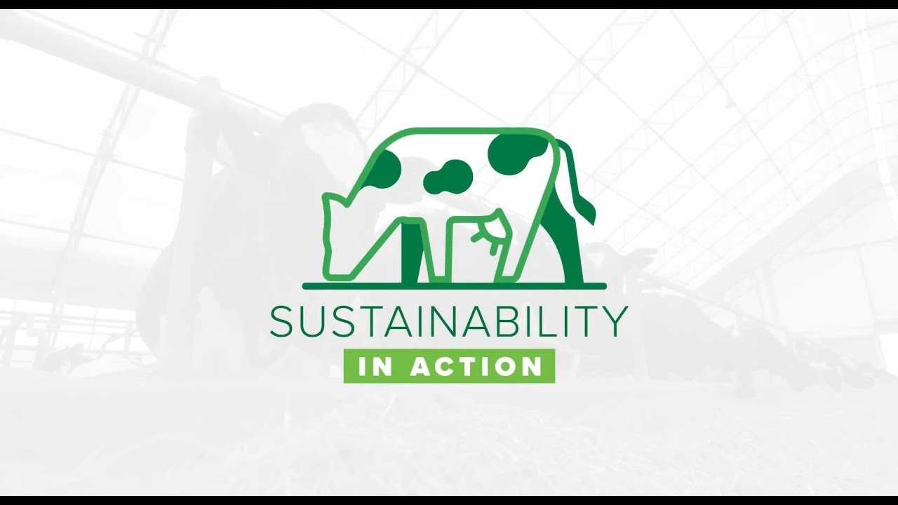 Sustainability in Action: College & University Partnerships