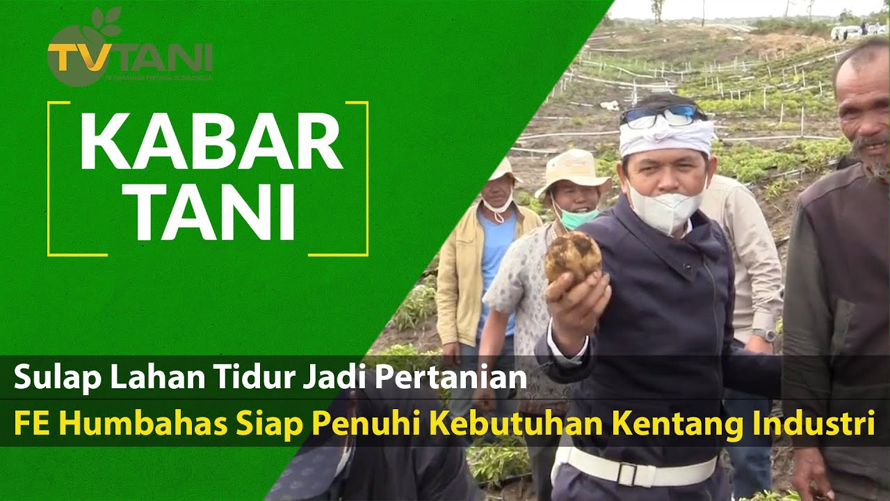 Sulap Lahan Tidur Jadi Pertanian, FE Humbahas Siap Penuhi Kebutuhan Kentang Industri