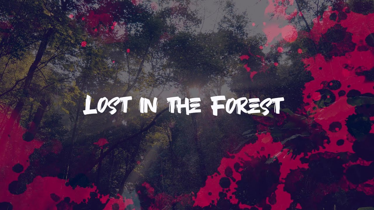 Sandro  - Lost in the Forest (Music Video)