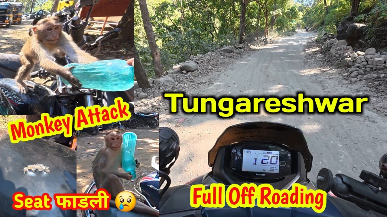 Tungareshwar Offroading 🤦🏻‍♂️ माकडांची मस्ती l Vasai Tungareshwar l Tungareshwar Mahadev Temple 