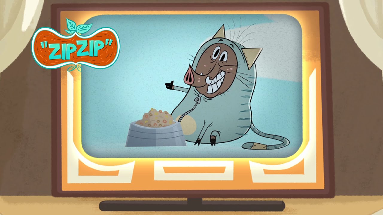 Sam is a TV star | Zip Zip English | Full Episodes | 4H | S2 | Cartoon for kids