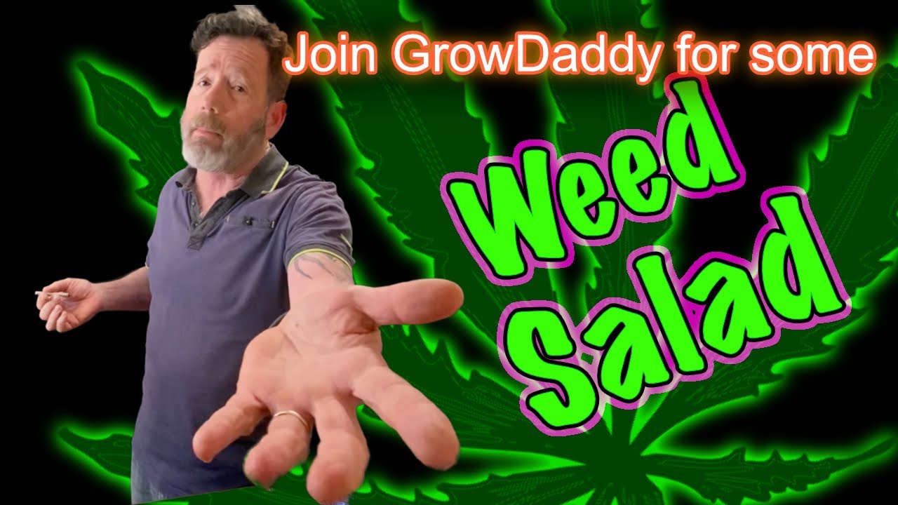 Weed Salad - Join GrowDaddy for an Enjoyable Cannabis Blend - Big Bud & Watermellon