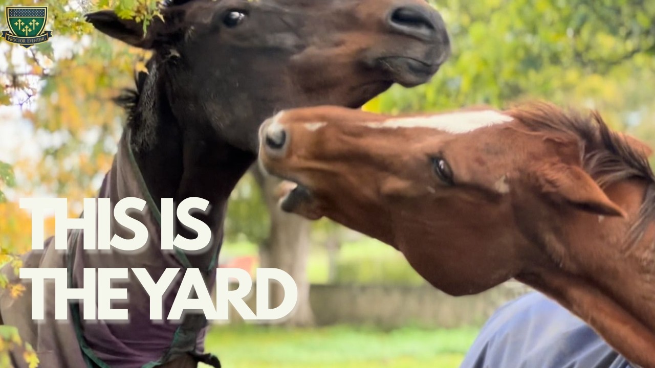 From Ponies to 4 Star Eventing  | Meet The Horses That Got us Here