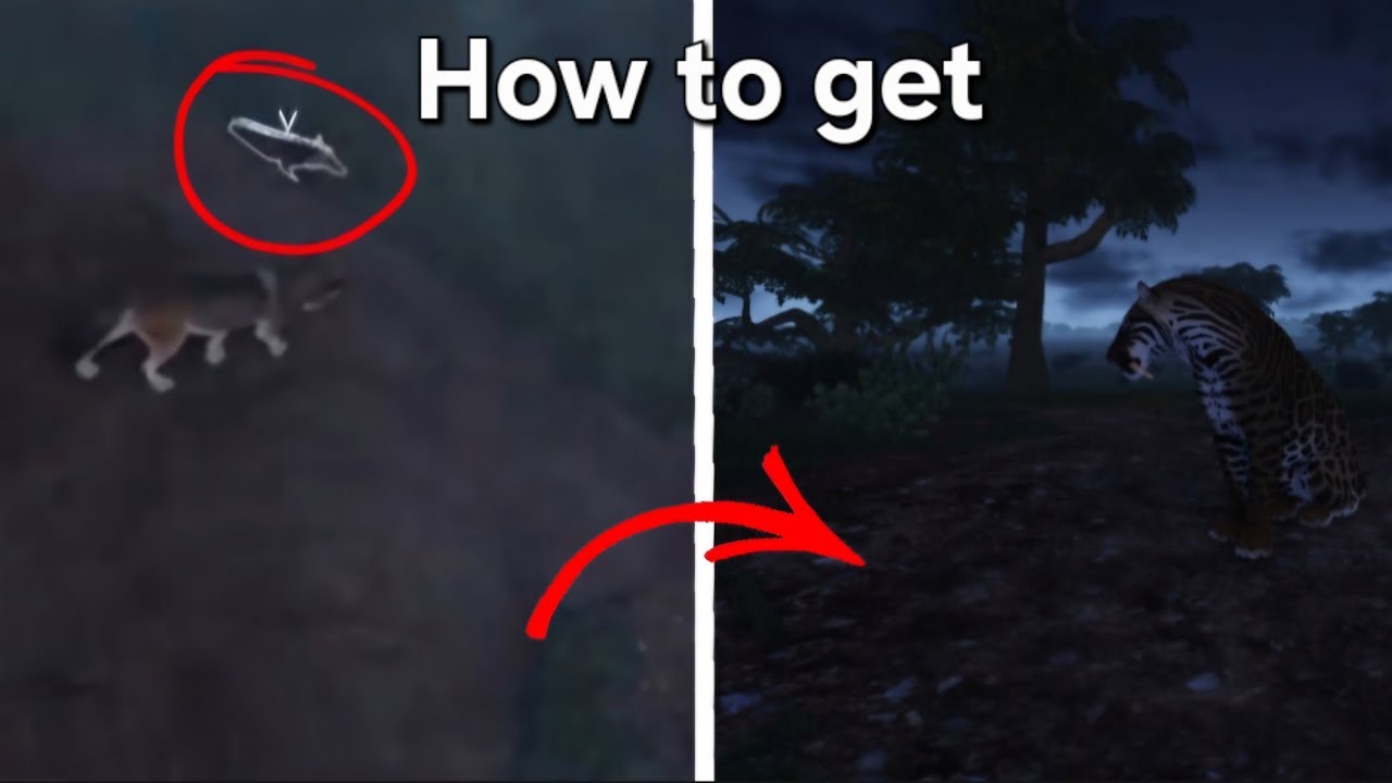 How to get Smilodon/Tiger in | Ecos - La Brea 