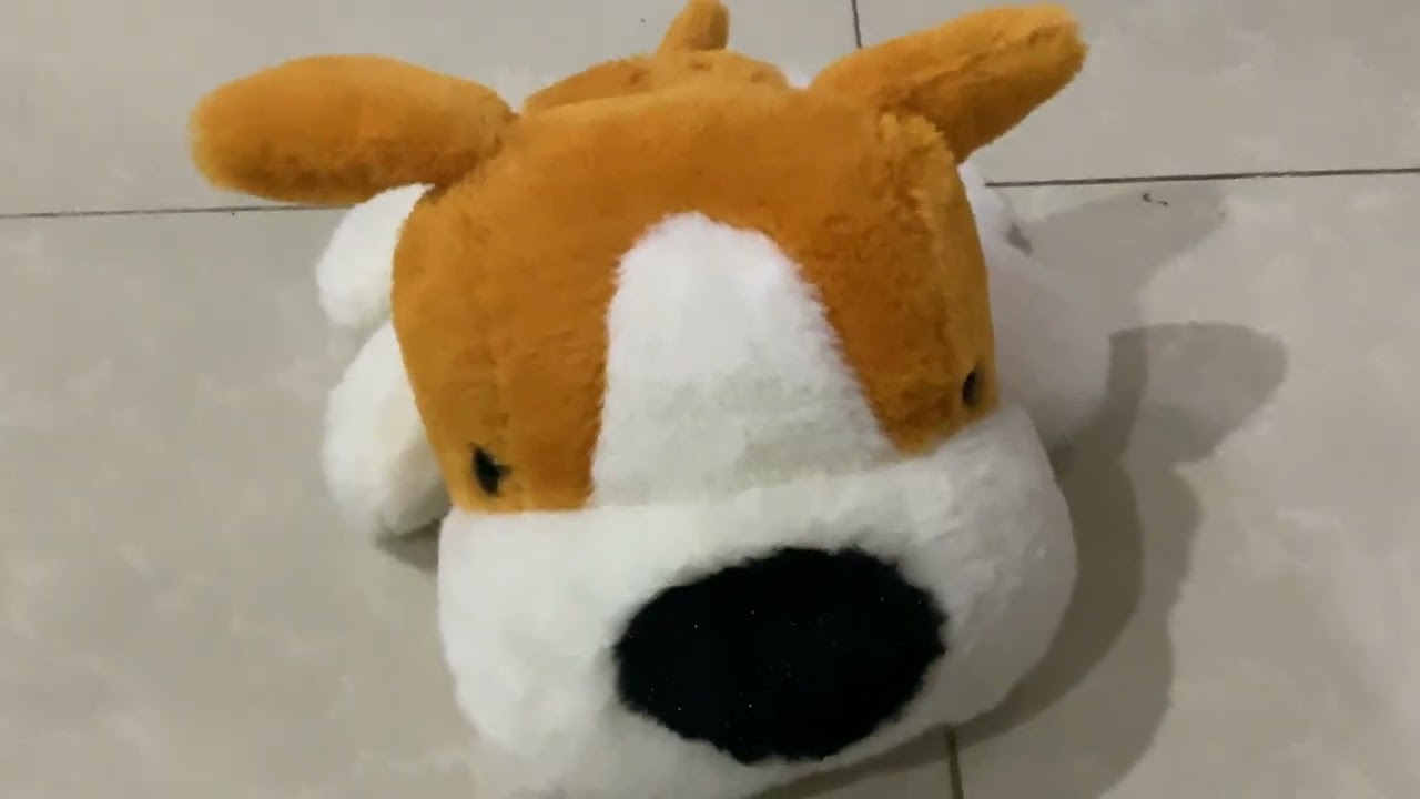 Dog singing a song call the wheel on the bus 