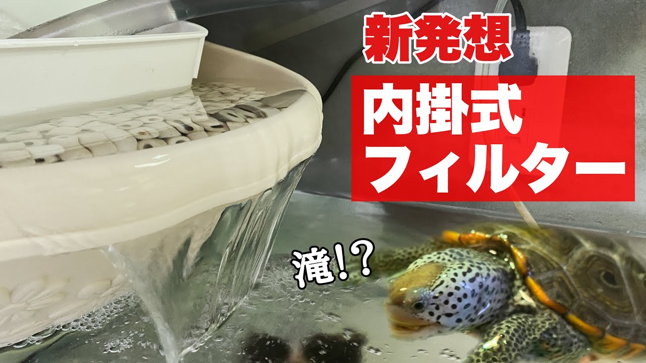 【フィルター自作】小スペースで大容量濾過槽のフィルターを自作しました！可愛い滝で亀を飼育しよう！【亀飼育】