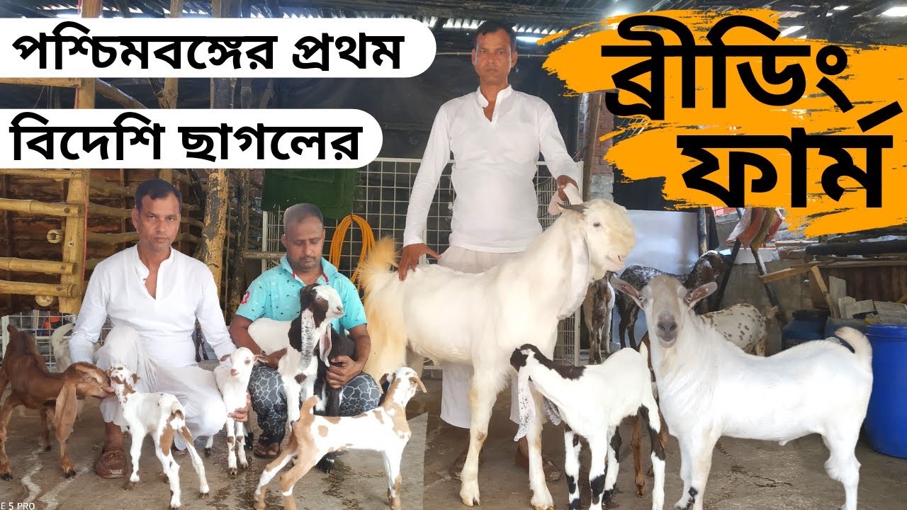 পশ্চিমবঙ্গে প্রথম বিদেশি ছাগলের ব্রিডিং ফার্ম ? goat farm in West bangal.