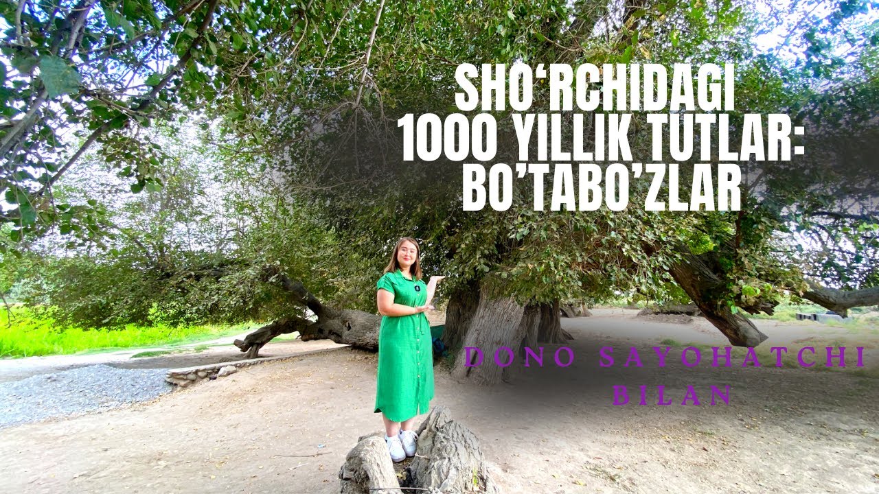 Sho‘rchidagi ming yillik tutlar-tabiat va tarix guvohi | SHO‘RCHI SAYOHATI | SAYOHATCHI DONO