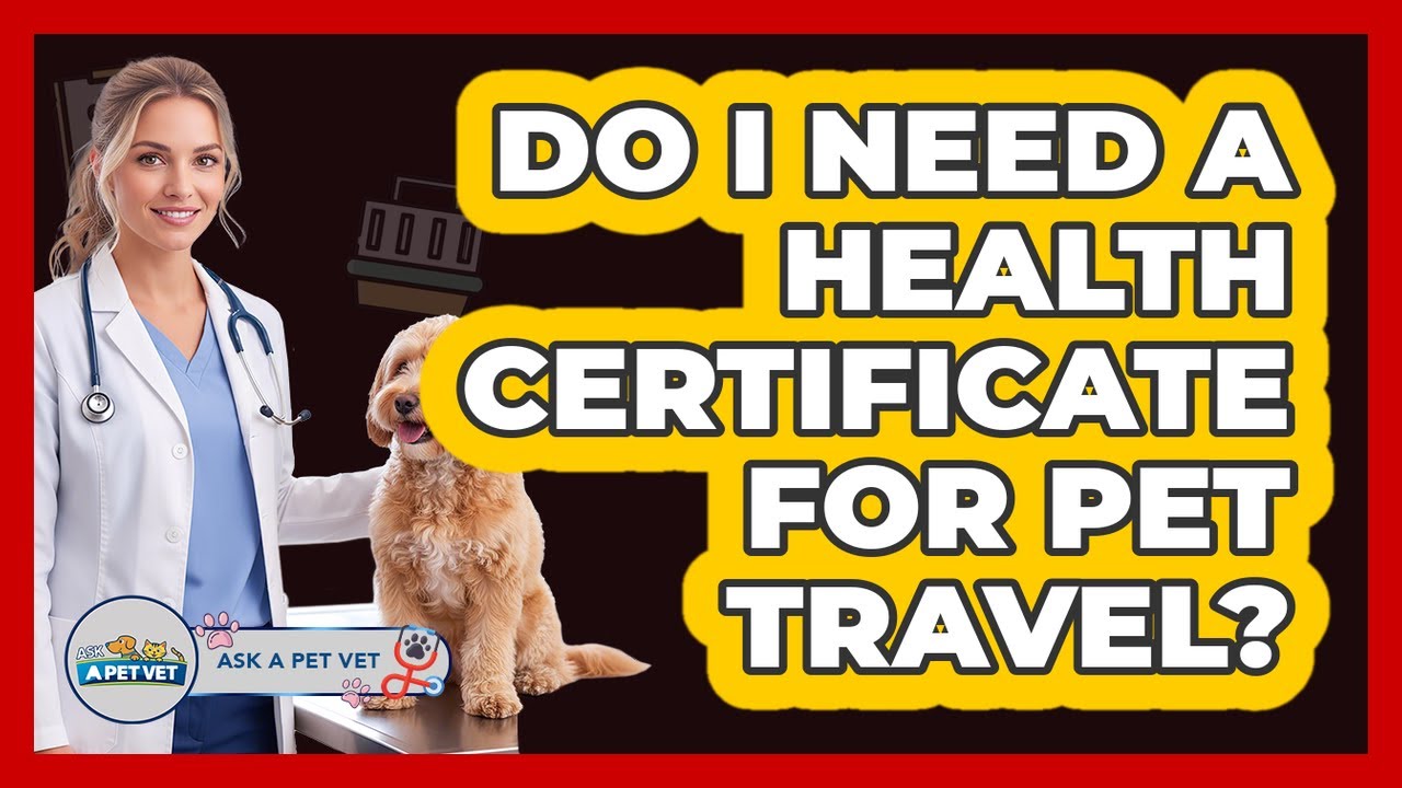 Do I Need A Health Certificate For Pet Travel?