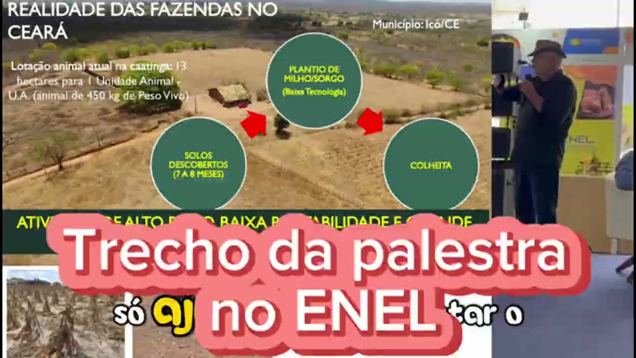 360. MODELO ATUAL DE PRODUÇÃO DE VOLUMOSO NO SEMIÁRIDO: BAIXA PRODUTIVIDADE E DEGRADAÇÃO DO SOLO