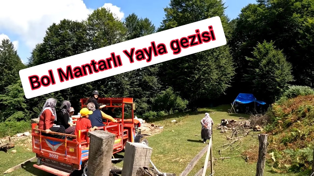 Bolat Fm 20 İle Uzun Bir aradan sonra Yaylaya Gittim / Bol Mantar Topladık