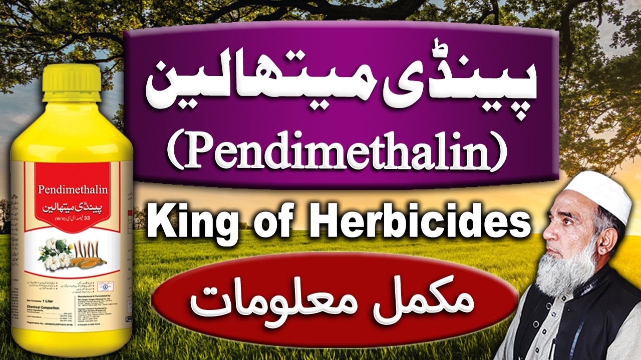 Technical information of Pendimethalin herbicide | Crop Reformer