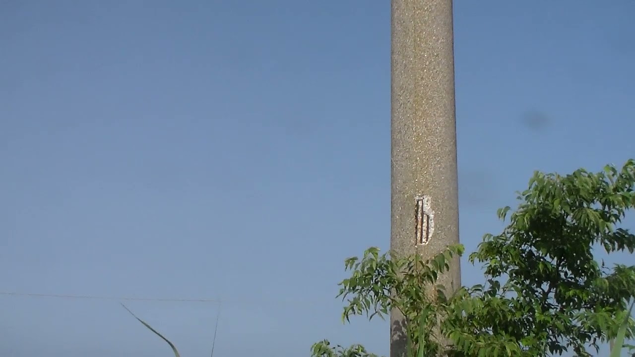 useless video 1517
