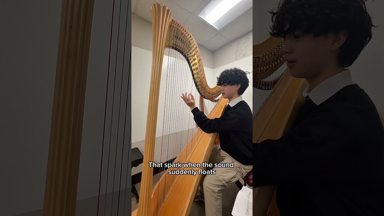 Harpist DITL ✨