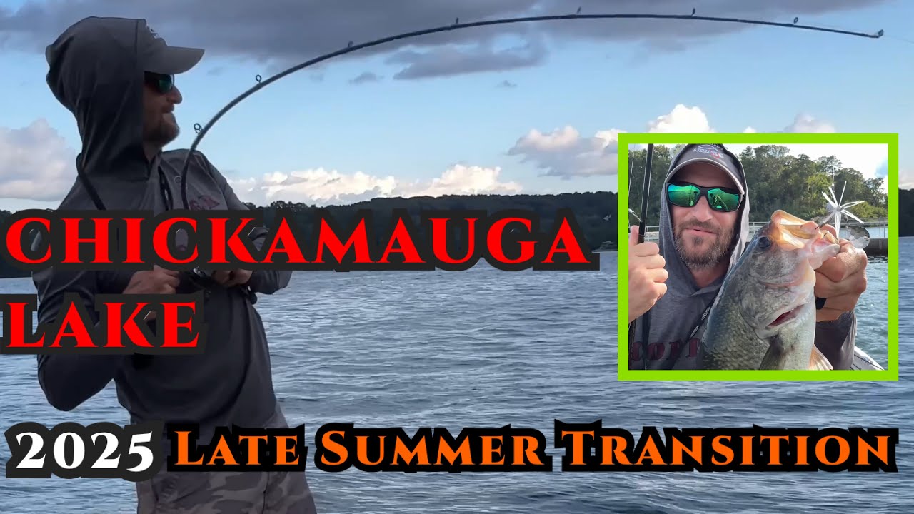 Chickamauga Lake 2025 Tips for Late Summer Transition Bass