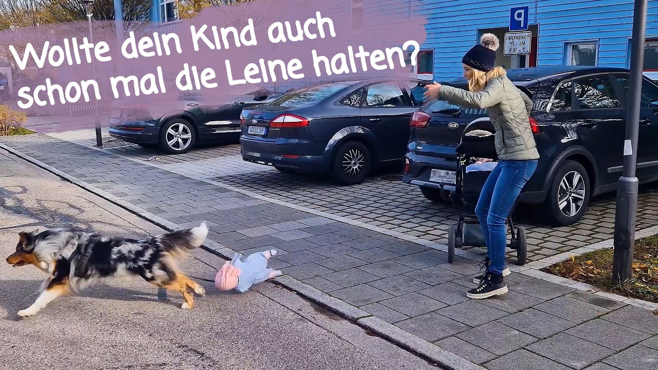 Die little Captain Zauberleine - das sind die Vorteile der ersten kindersicheren Hundeleine!