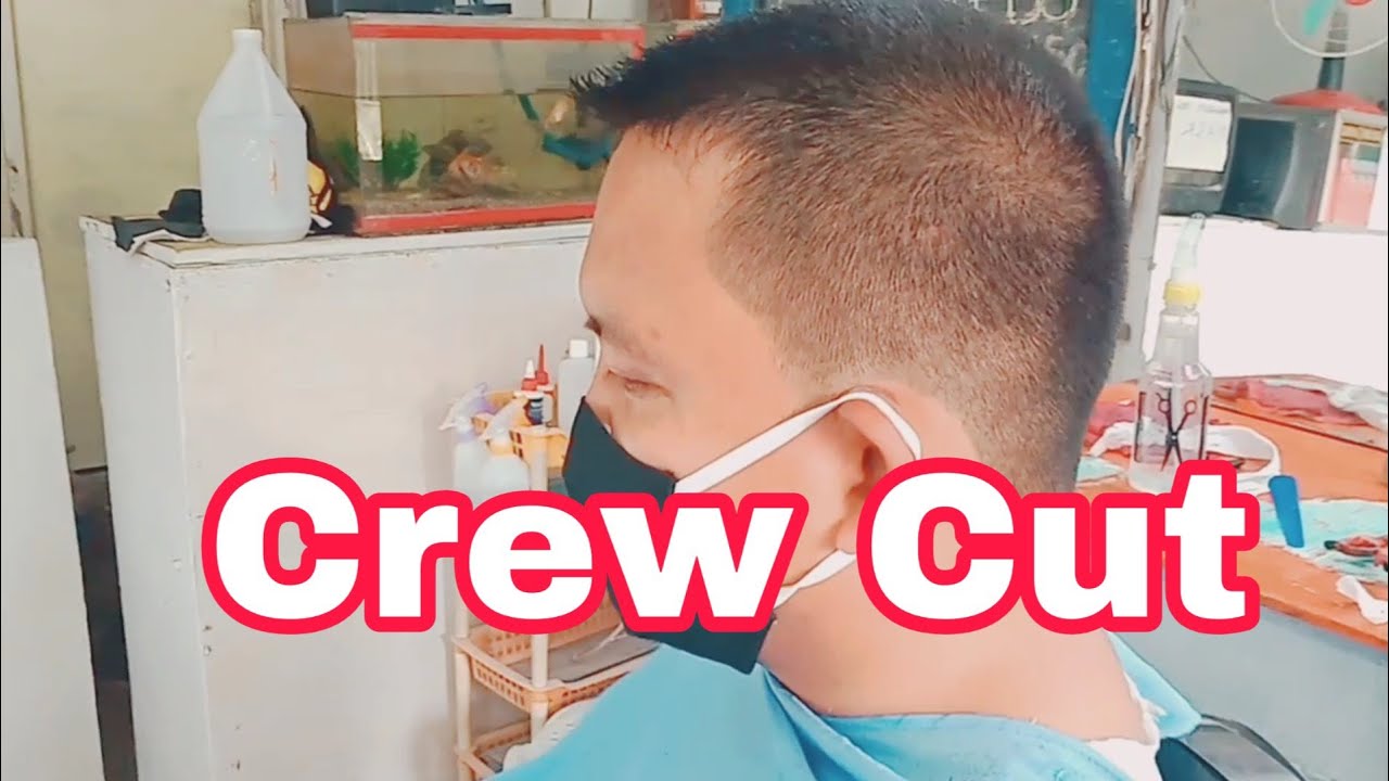 Crew cut,