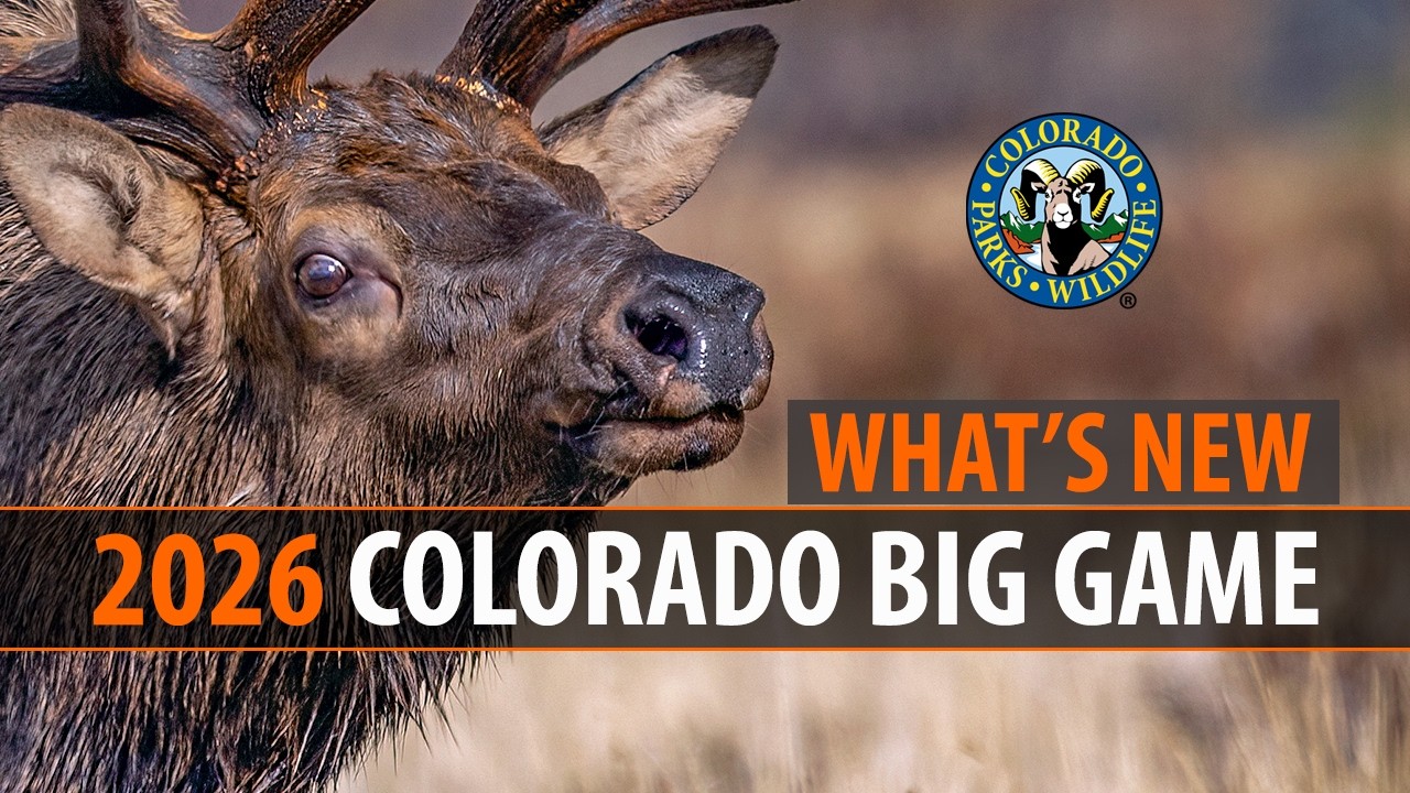 2026 Colorado Big Game: What's New