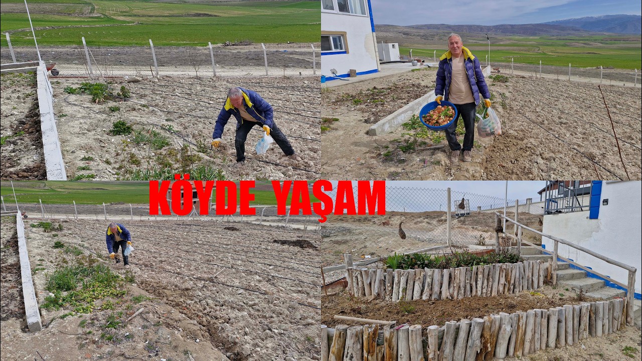 EKİM ZAMANI NELER EKİYORUZ İLK TOHUMLARIMIZI TOPRAKLA BULUŞTU