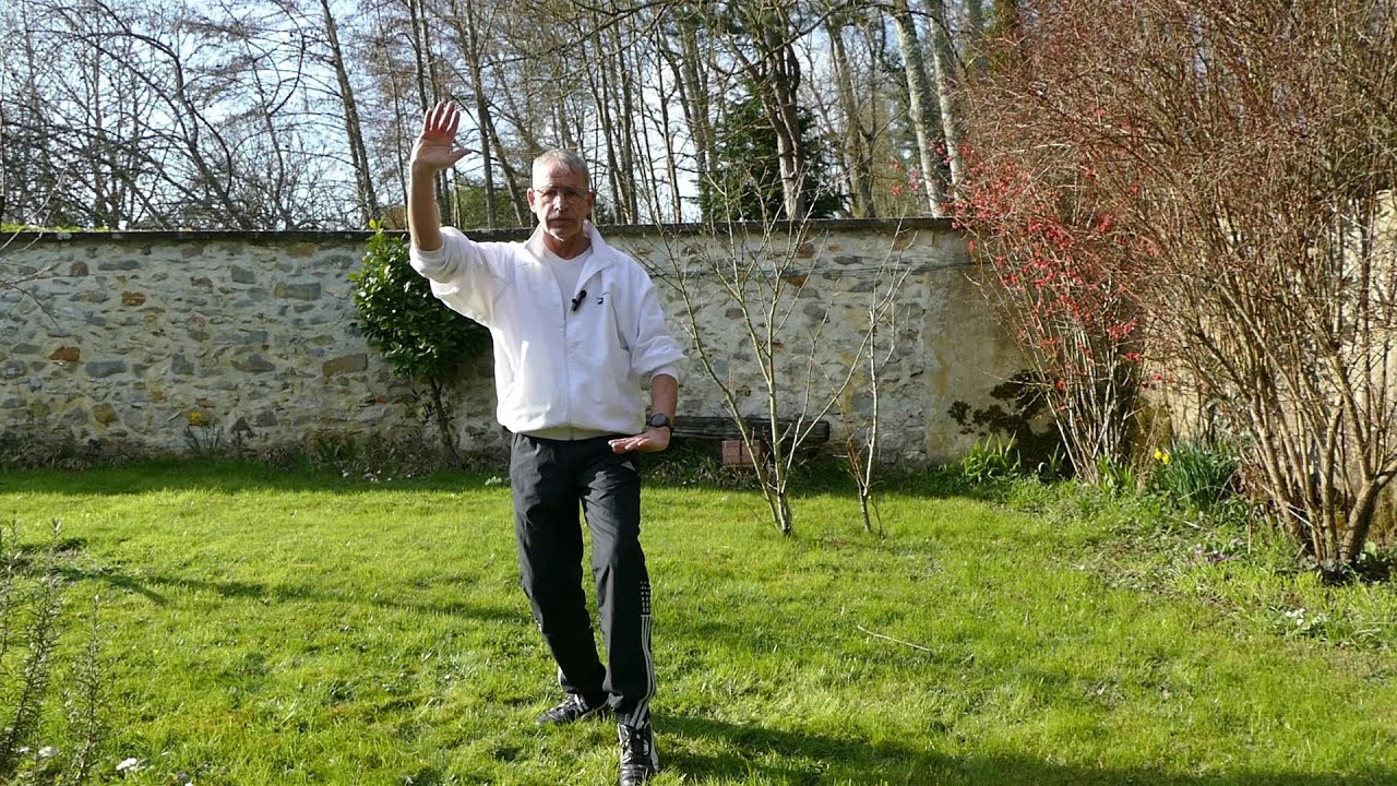 Tai Chi Chuan: La grue déploie ses ailes