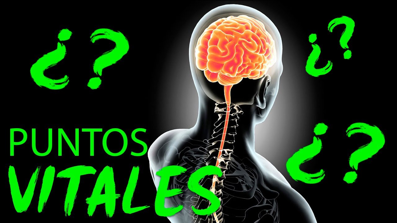🌀🤕Qu&eacute; son los PUNTOS VITALES? 😵 Porque Aprenderlo para DEFENSA PERSONAL🔝🔝