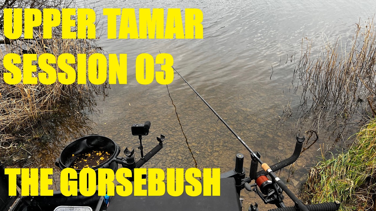 Upper Tamar Session 03 - The Gorsebush