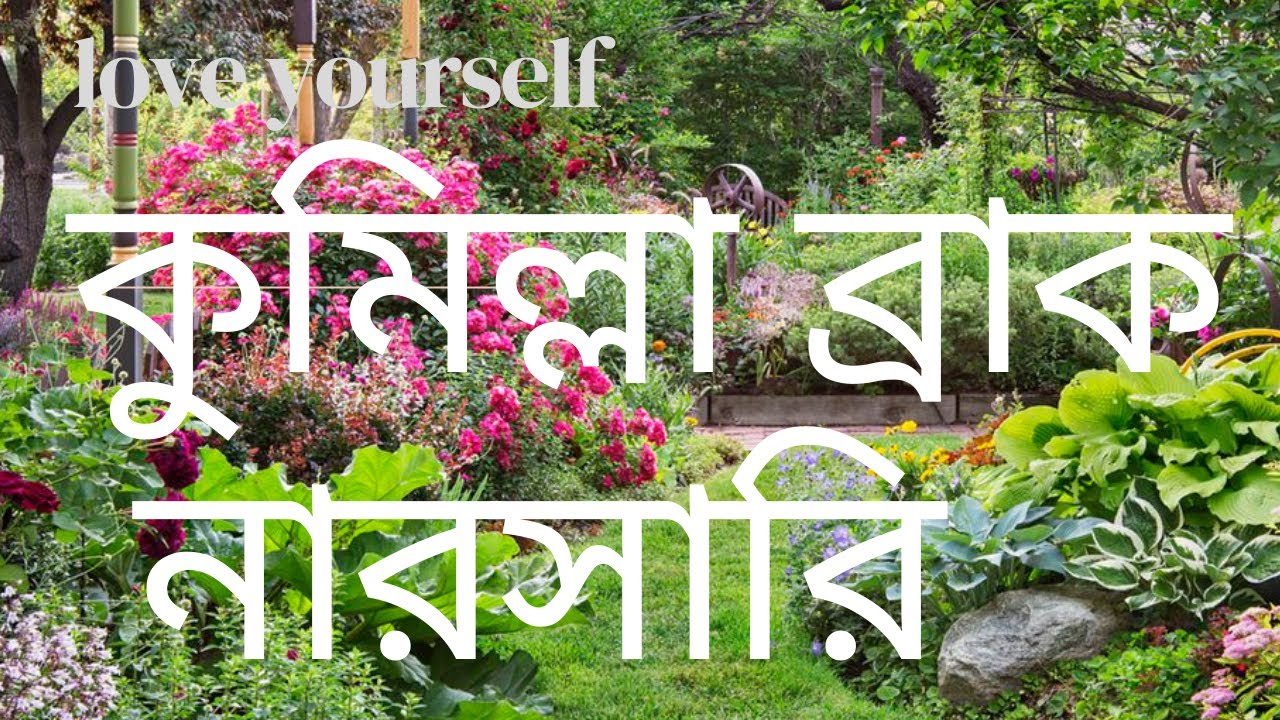ব্রাক নারসারি/nursery visit with price