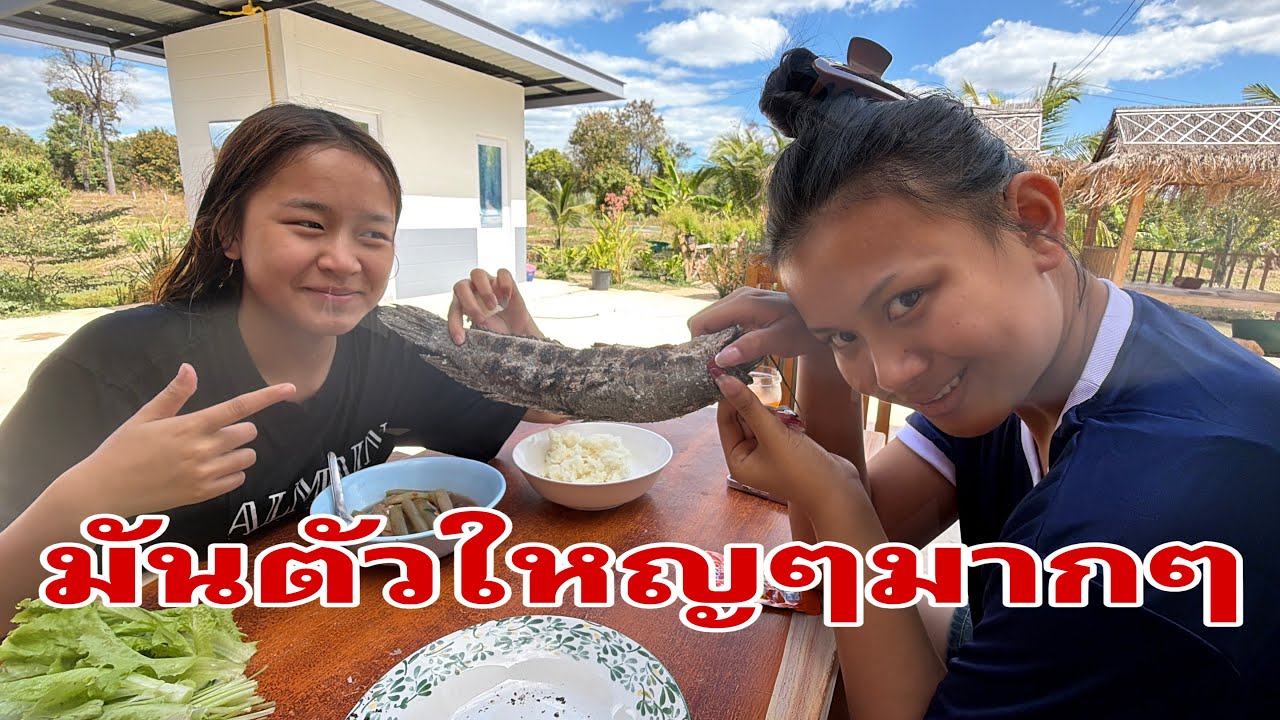 ป๊าดๆพี่น้องสุดยอดปลาข่อใหญ่#อุ๋งอิ๋งเพชรบ้านแพง 