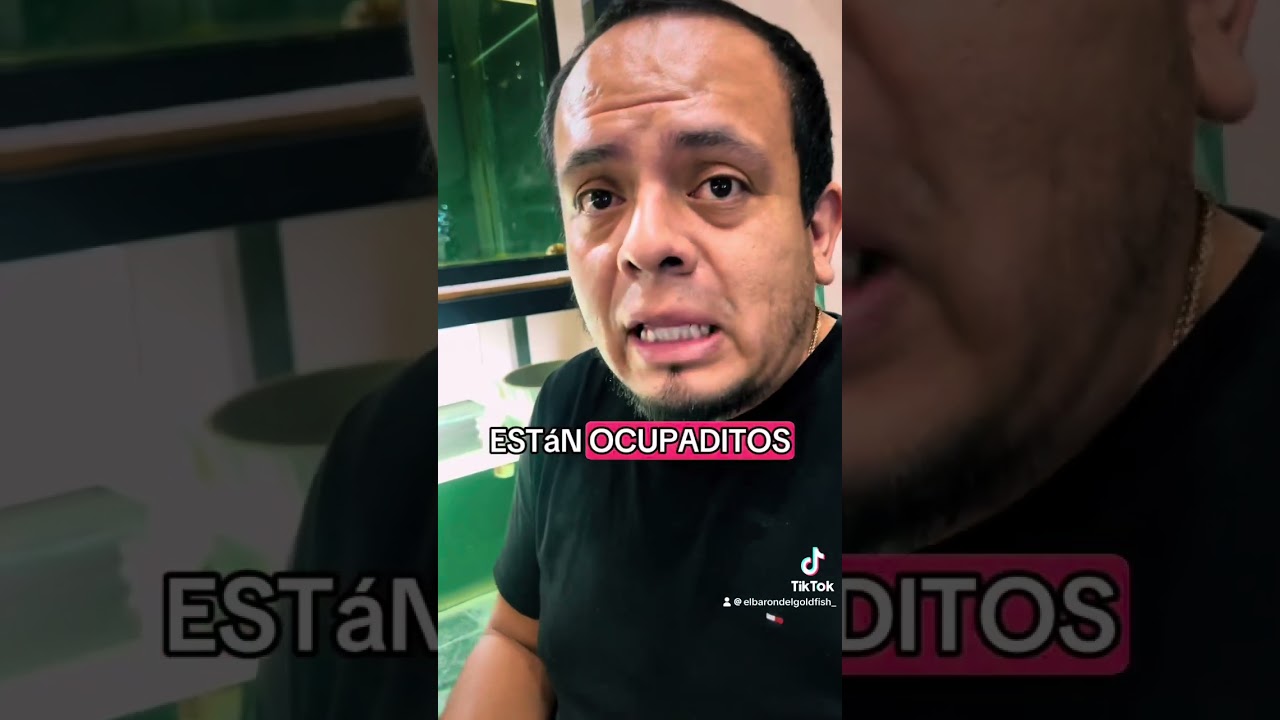 Es caro un Goldfish ?