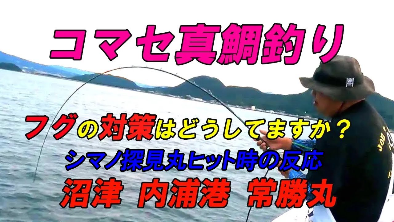 コマセ真鯛釣りフグの対策はどうしてますか？沼津内浦港常勝丸【コマセ真鯛釣り】