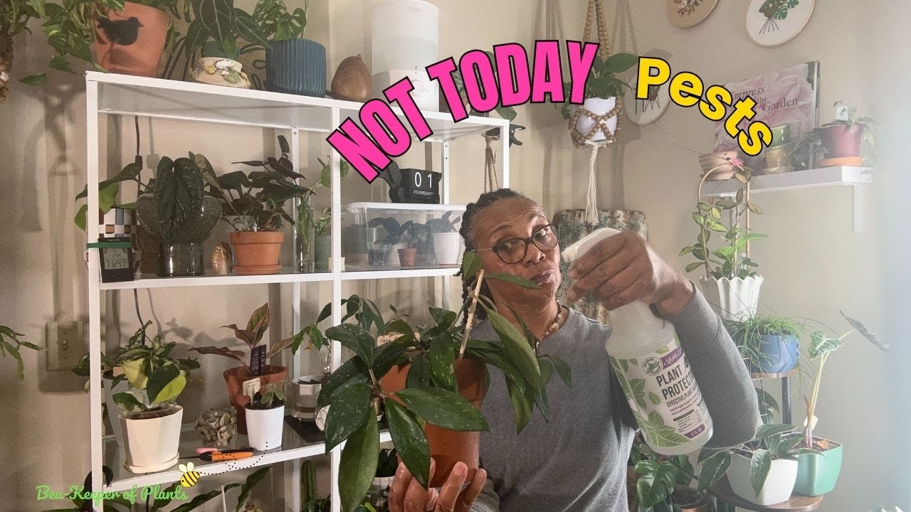 𝑯𝑶𝒀𝑨 𝑷𝑬𝑺𝑻 𝑩𝑨𝑻𝑻𝑳𝑬 | 🥊 𝑴𝒚 𝑴𝒐𝒏𝒕𝒉𝒍𝒚 𝑪𝒂𝒓𝒆 𝑹𝒐𝒖𝒕𝒊𝒏𝒆 🌿
