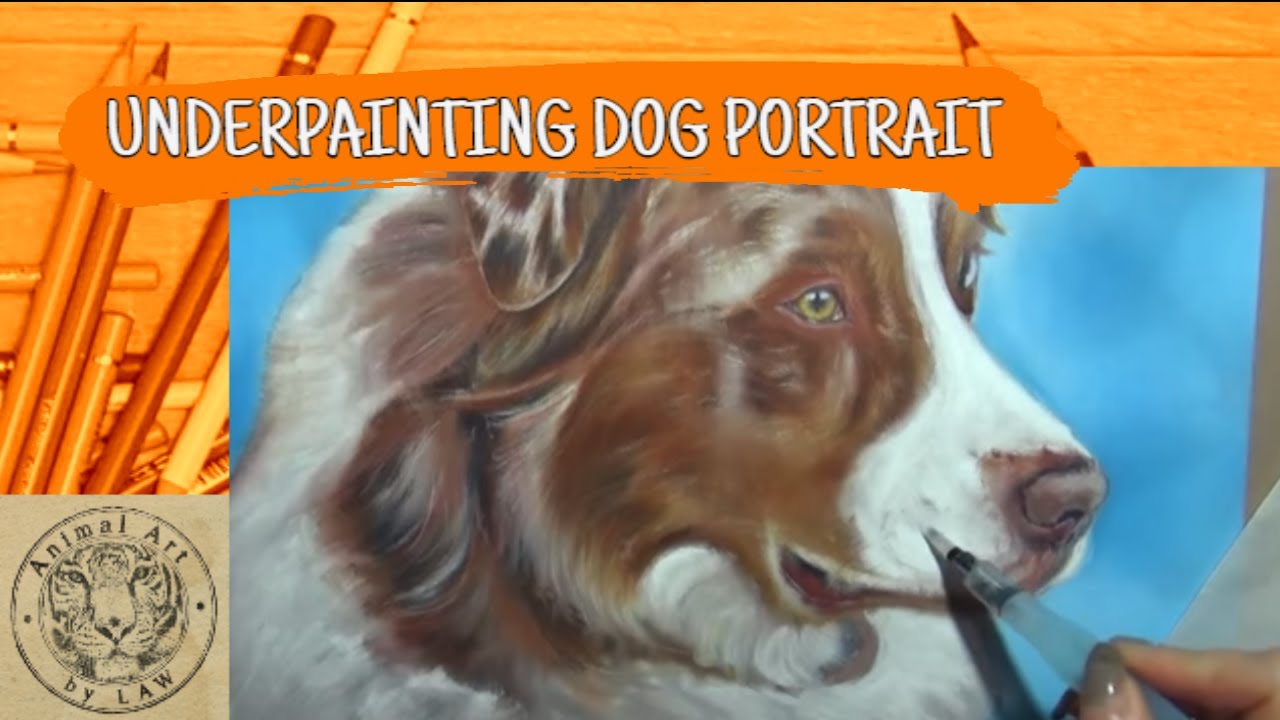 Watercolour Pencil Underpainting on a dog portrait