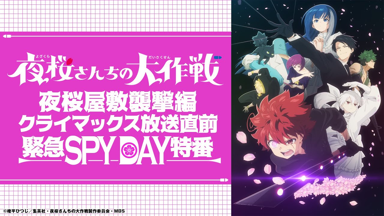 夜桜屋敷襲撃編クライマックス 放送直前緊急SPYDAY特番｜『夜桜さんちの大作戦』
