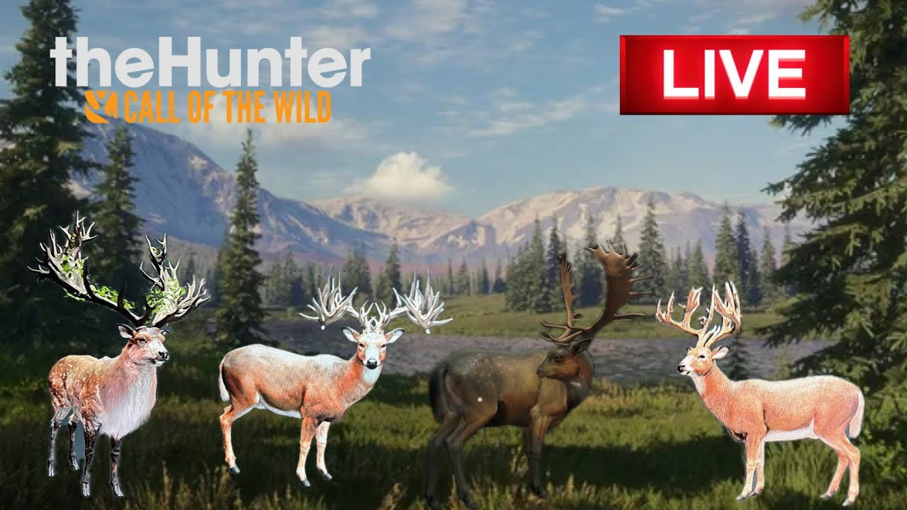 Deer hunting camp then maybe boar or fallow grind!