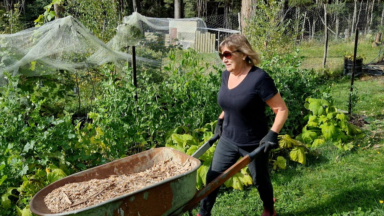 Removing New Zealand Flax