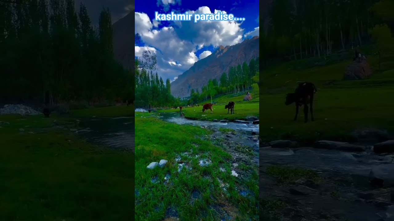 #kashmir #paradise #nature #vibes #trendingshorts #subscribemychannel