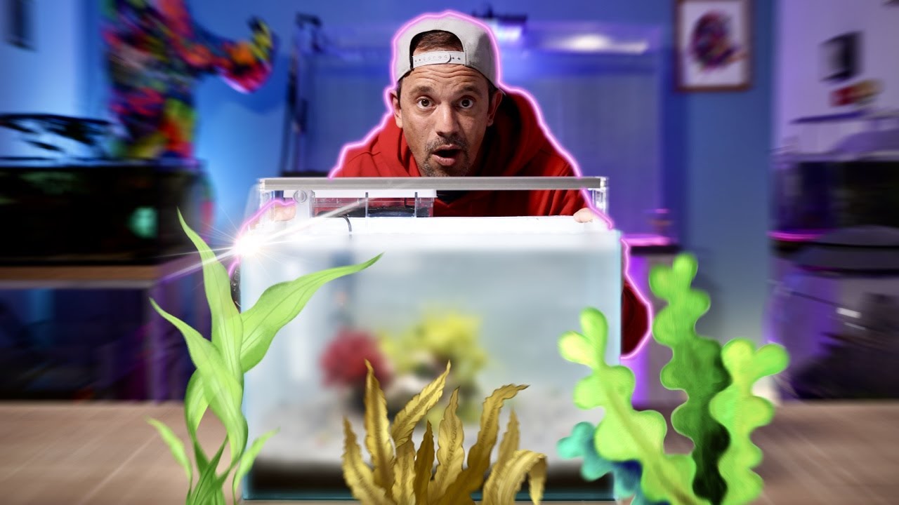 CE PETIT AQUARIUM MARIN EST PARFAIT POUR D&Eacute;BUTER ! -TOOPET