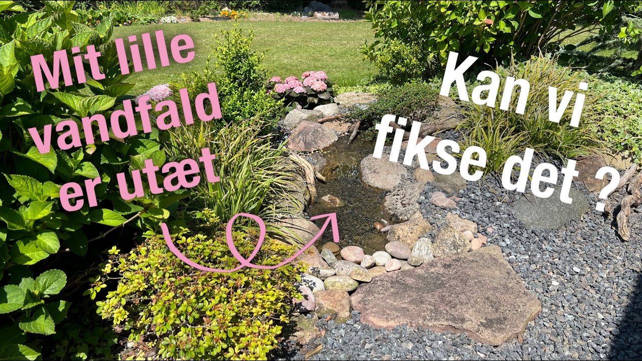 Ud i haven - Afsnit 8 🌳 Reparerer vandfald, kigger en tur i værkstedet og en tur i haven 💦🌸
