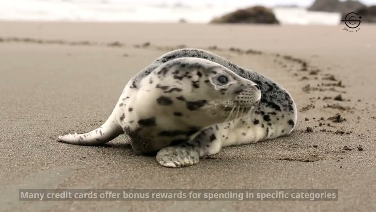 Maximizing rewards on your credit cards