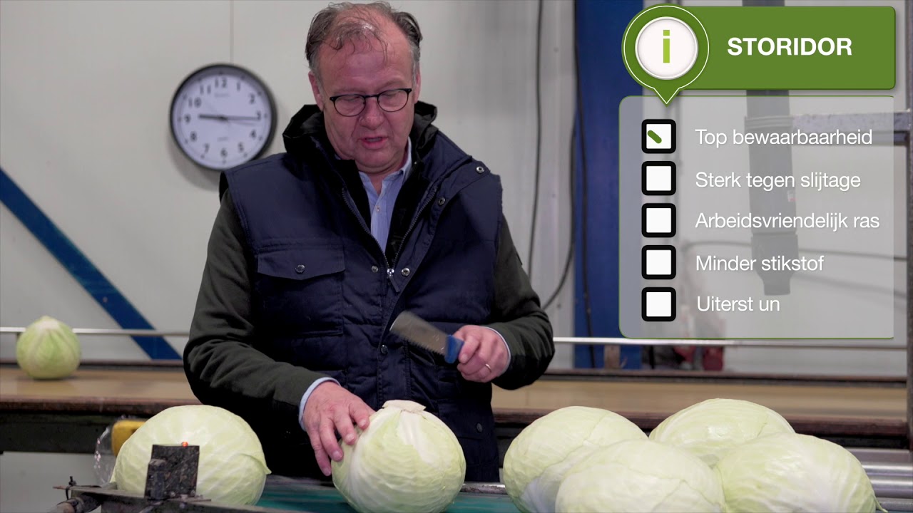 Sluitkool IJzersterke rassen