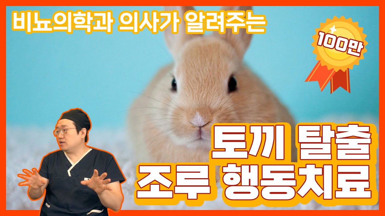 시간 확실히 늘어나는 조루 해소 방법 3가지